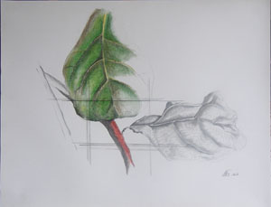 Painting: Ficus Fiddle-leafed Fig Tree